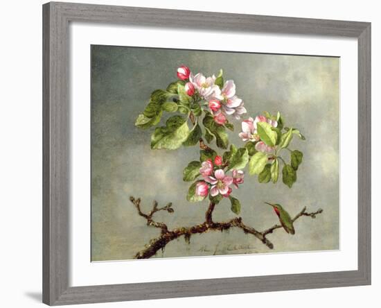 Apple Blossoms and a Hummingbird, 1875-Martin Johnson Heade-Framed Giclee Print