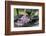 Apple Blossoms, Branch, Bird Bath-Andrea Haase-Framed Photographic Print