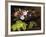 Apple Blossoms, Primula, Heather, and Yellow Acacia-Johan Laurentz Jensen-Framed Photographic Print