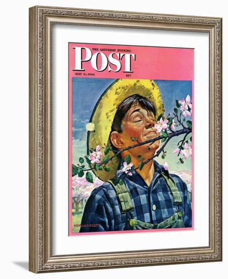 "Apple Blossoms," Saturday Evening Post Cover, May 6, 1944-Howard Scott-Framed Giclee Print