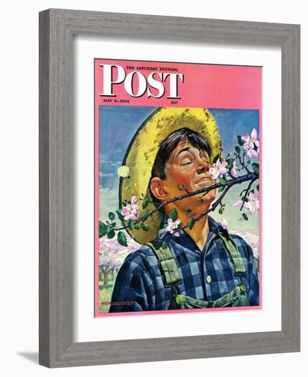 "Apple Blossoms," Saturday Evening Post Cover, May 6, 1944-Howard Scott-Framed Giclee Print