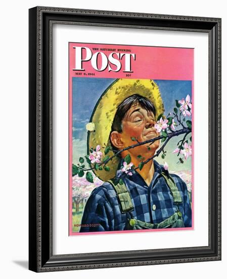 "Apple Blossoms," Saturday Evening Post Cover, May 6, 1944-Howard Scott-Framed Giclee Print