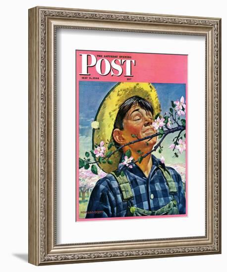 "Apple Blossoms," Saturday Evening Post Cover, May 6, 1944-Howard Scott-Framed Giclee Print