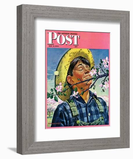 "Apple Blossoms," Saturday Evening Post Cover, May 6, 1944-Howard Scott-Framed Giclee Print