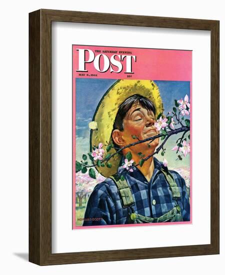 "Apple Blossoms," Saturday Evening Post Cover, May 6, 1944-Howard Scott-Framed Giclee Print