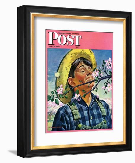 "Apple Blossoms," Saturday Evening Post Cover, May 6, 1944-Howard Scott-Framed Giclee Print