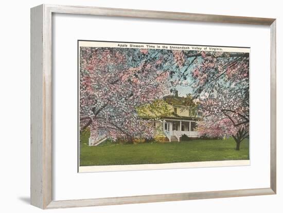 Apple Blossoms, Shenandoah Valley, Virginia-null-Framed Art Print