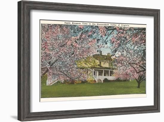 Apple Blossoms, Shenandoah Valley, Virginia-null-Framed Art Print