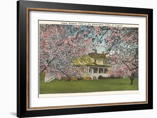 Apple Blossoms, Shenandoah Valley, Virginia-null-Framed Art Print