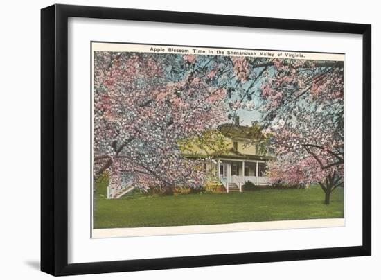 Apple Blossoms, Shenandoah Valley, Virginia-null-Framed Art Print