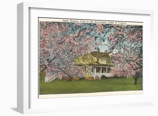 Apple Blossoms, Shenandoah Valley, Virginia-null-Framed Art Print