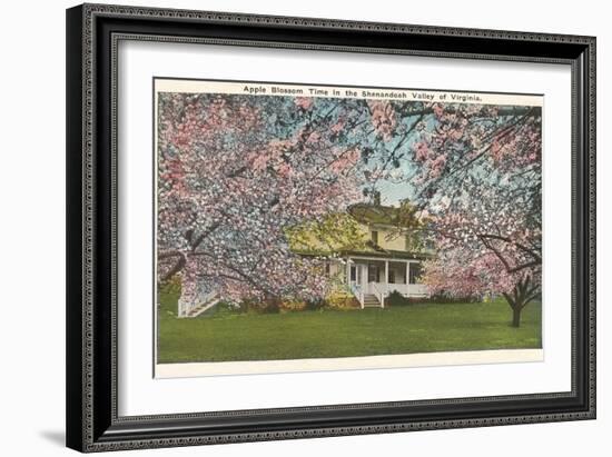 Apple Blossoms, Shenandoah Valley, Virginia-null-Framed Art Print
