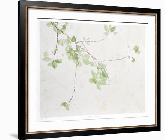 Apple Blossoms-Jon D'Orazio-Framed Collectable Print