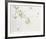 Apple Blossoms-Jon D'Orazio-Framed Collectable Print