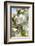 Apple Blossoms-C. Nidhoff-Lang-Framed Photographic Print