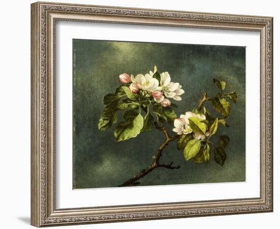 Apple Blossoms-Martin Johnson Heade-Framed Giclee Print