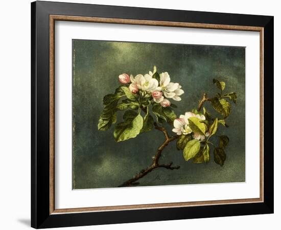 Apple Blossoms-Martin Johnson Heade-Framed Giclee Print