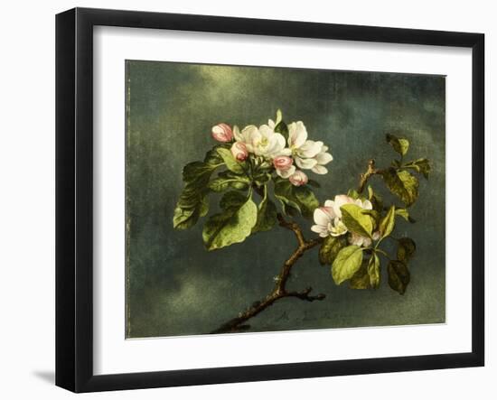 Apple Blossoms-Martin Johnson Heade-Framed Giclee Print