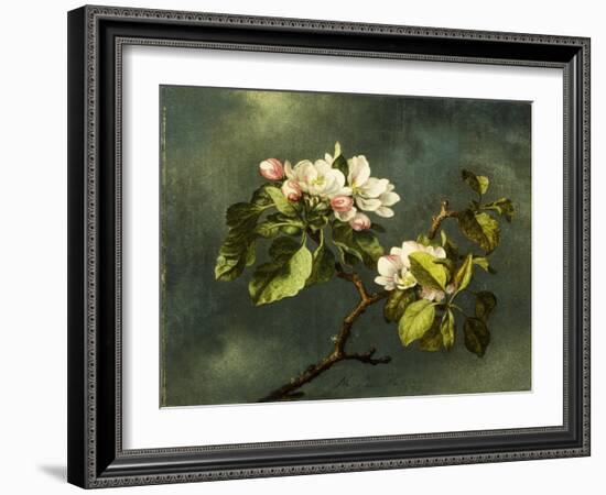 Apple Blossoms-Martin Johnson Heade-Framed Giclee Print