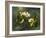 Apple Blossoms-Martin Johnson Heade-Framed Giclee Print