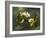 Apple Blossoms-Martin Johnson Heade-Framed Giclee Print