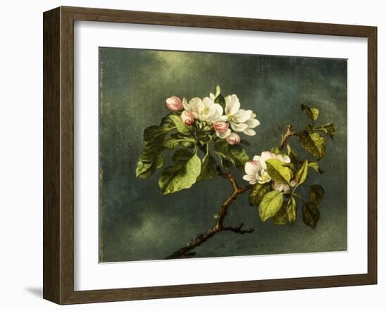 Apple Blossoms-Martin Johnson Heade-Framed Giclee Print