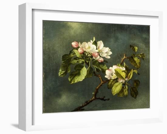 Apple Blossoms-Martin Johnson Heade-Framed Giclee Print