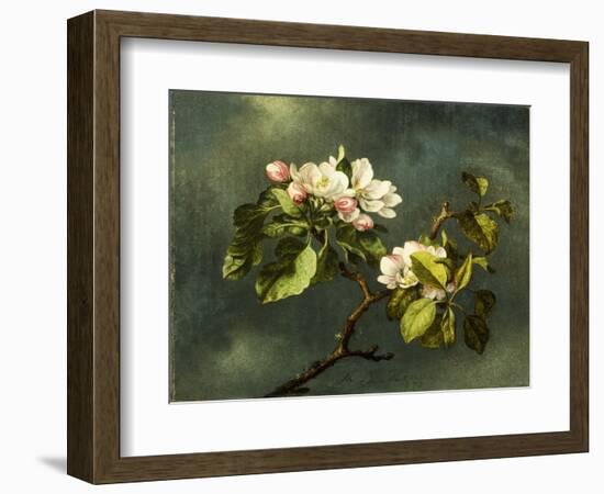 Apple Blossoms-Martin Johnson Heade-Framed Giclee Print