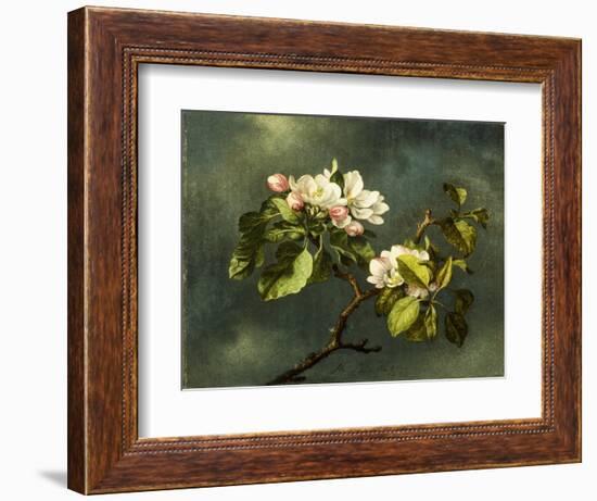 Apple Blossoms-Martin Johnson Heade-Framed Giclee Print