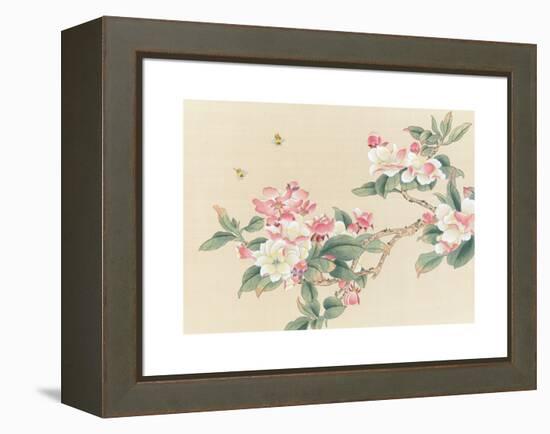 Apple Blossoms-unknown unknown-Framed Stretched Canvas