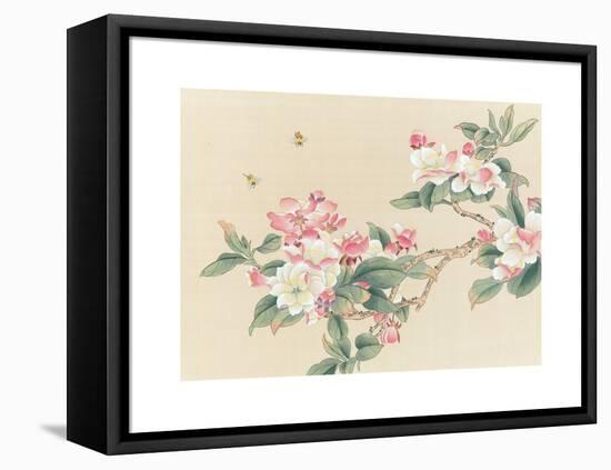 Apple Blossoms-unknown unknown-Framed Stretched Canvas