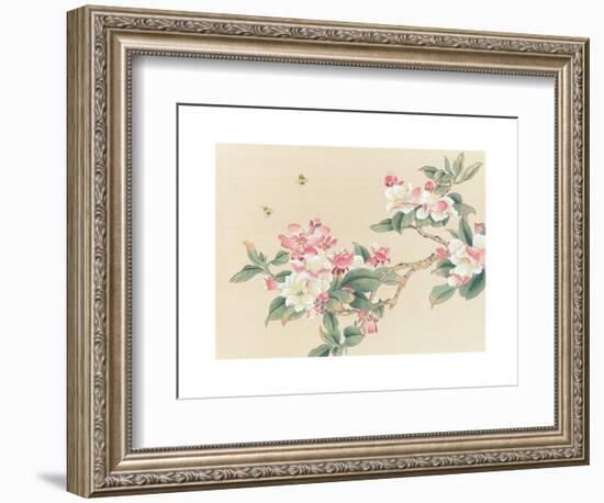 Apple Blossoms-unknown unknown-Framed Art Print