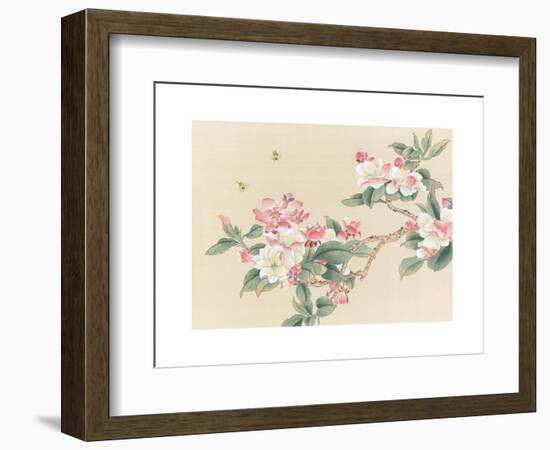 Apple Blossoms-unknown unknown-Framed Art Print
