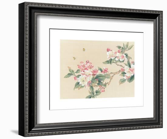 Apple Blossoms-unknown unknown-Framed Art Print