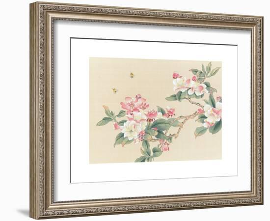 Apple Blossoms-unknown unknown-Framed Art Print