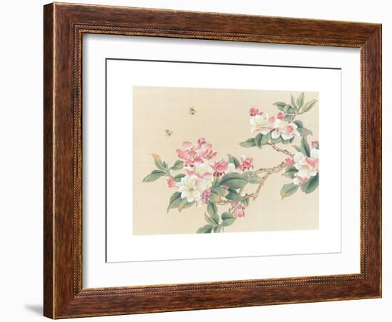 Apple Blossoms-unknown unknown-Framed Art Print