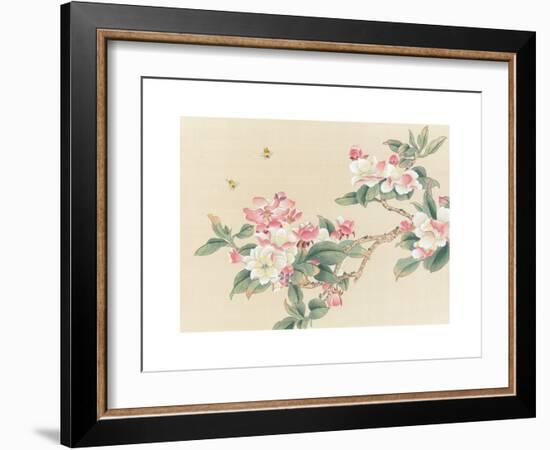 Apple Blossoms-unknown unknown-Framed Art Print