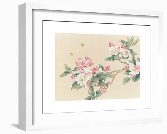 Apple Blossoms-unknown unknown-Framed Art Print