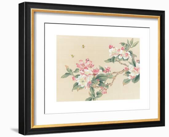 Apple Blossoms-unknown unknown-Framed Art Print