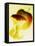 Apple Core-Jo Kirchherr-Framed Premier Image Canvas