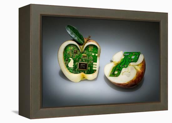 Apple Core-Kikroune-Framed Premier Image Canvas