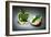 Apple Core-Kikroune-Framed Photographic Print