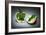 Apple Core-Kikroune-Framed Photographic Print