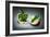 Apple Core-Kikroune-Framed Photographic Print