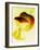 Apple Core-Jo Kirchherr-Framed Photographic Print