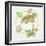 Apple Cycle-Deborah Kopka-Framed Giclee Print