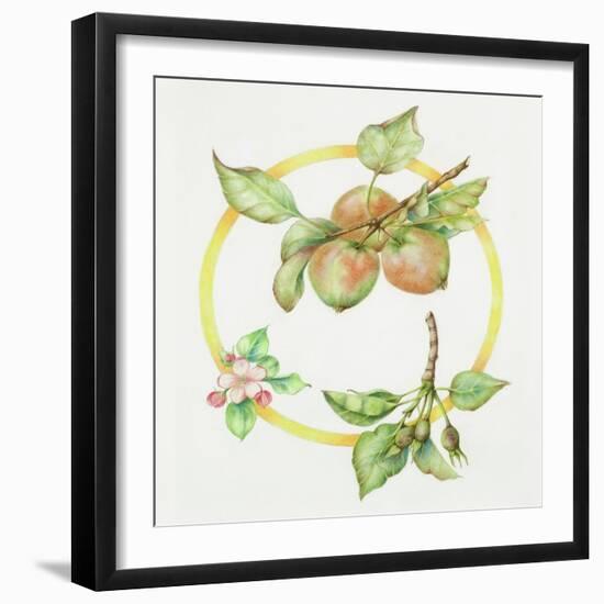 Apple Cycle-Deborah Kopka-Framed Giclee Print