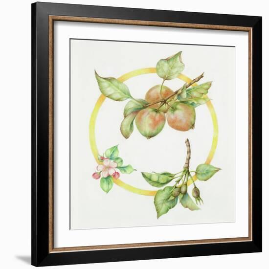 Apple Cycle-Deborah Kopka-Framed Giclee Print