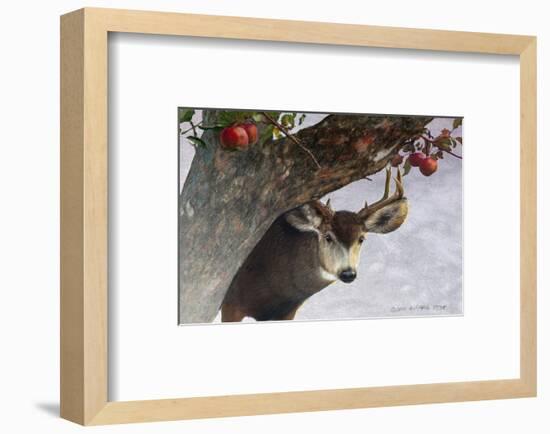Apple Deer-Chris Vest-Framed Art Print