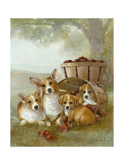 Apple Dumpling Art Print By Ruane Manning Art Com